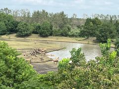 -溱湖国家湿地公园