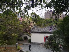 -深圳国际园林花卉博览园