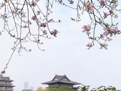 -海珠湖公园