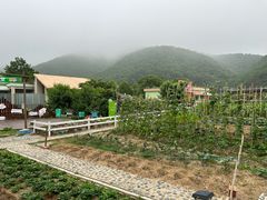 -宁波九龙湖开元度假村
