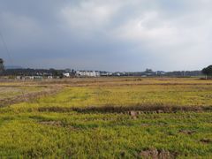 -徽三说·土徽菜·中国徽菜连锁品牌(一中店)