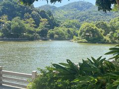 -广州市帽峰山景区