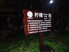 -蓝波湾温泉水世界
