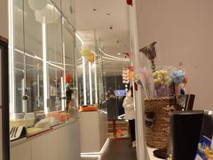 -babydoll猫舍·米努特·德文·缅因(久光中心店)