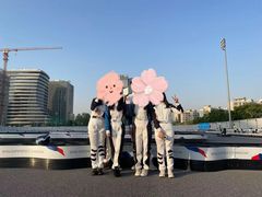 -赛卡联盟卡丁车馆(上海世博店)