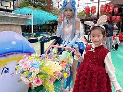 -灵玲国际马戏城