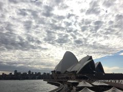 -悉尼歌剧院