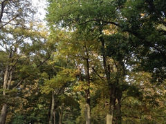 iphone_upload_pic-八大关景区
