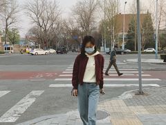 -三里屯东五街银杏大道