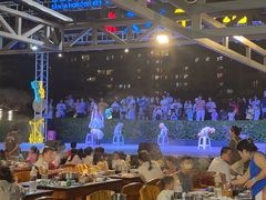 -渔家火锅·海鲜自助餐·演艺(亚龙湾天域酒店)