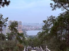 -青龙山国家森林公园
