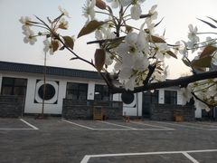 -丽泽山庄·生态怀柔菜·虹鳟鱼(红螺寺店)