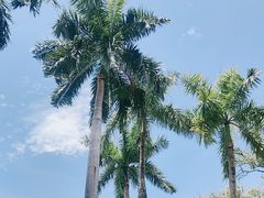 -三亚南山文化旅游区