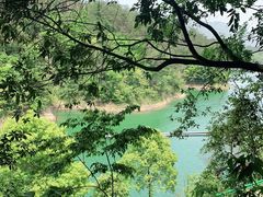 -仙岛湖旅游风景区