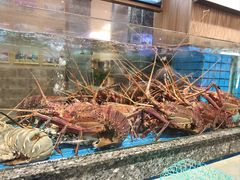 -聚福宝合苑食府(南头镇店)