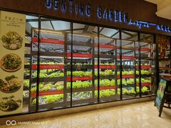 -鼎泰丰(云顶高原店)