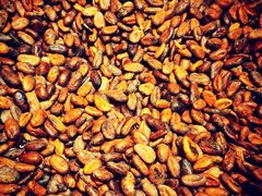 -歌斐颂巧克力小镇