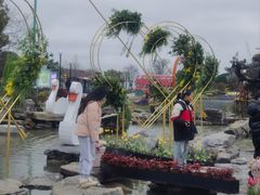 -荷兰花海