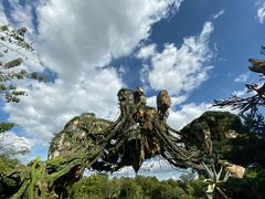 -奥兰多迪士尼动物王国乐园