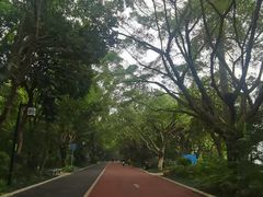 -南宁南湖公园