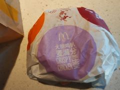-麦当劳(红旗路店)