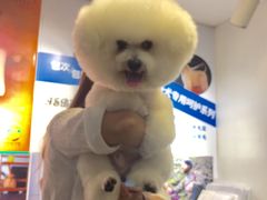-PETKIT小佩宠物(古北店)