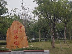 -中山市树木园