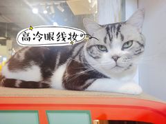 -小时光咖啡馆(开森度假森林店)