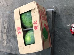 -沈阳市八家子水果批发市场