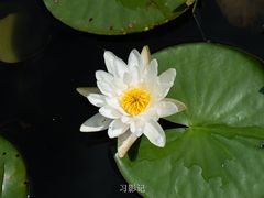 -白鹭湾湿地公园