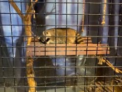 -酷嗒动物文化乐园(cutezoo西溪乐天城店)