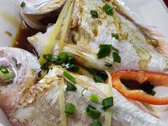 -蛇口康乐快餐鱼仔档(翠苑小区店)