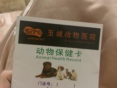-瑞派动物医院·猫专科·至诚(江南中分院)