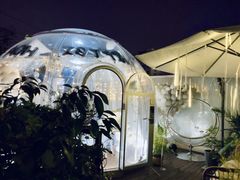 -春树下·院子露台西餐厅(中隐于市店)