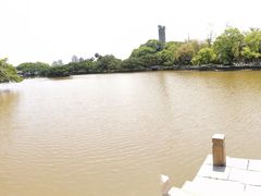 -江心屿景区