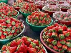 -江杨农产品批发市场