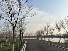 -天津东丽湖风景区