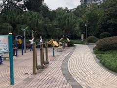 -神仙树公园