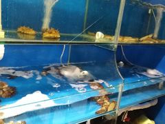 -臻鲜燕海鲜融合餐厅(金陵style店)