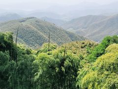 -莫干山风景区