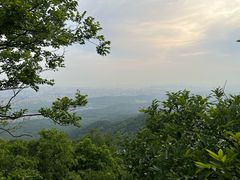-紫金山山顶公园