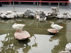 -龙华寺