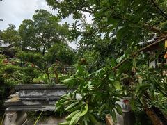 -苏州冶园园林民宿(太湖西山风景区店)