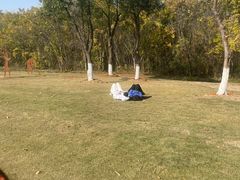 -盘龙城国家考古遗址公园