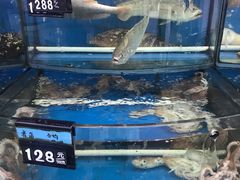 水产区-渔中舟海鲜大排档(普陀沈家门店)