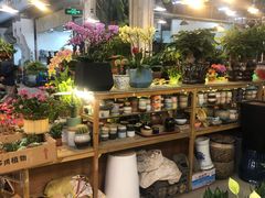 -双季花艺园艺市场(浦东店)