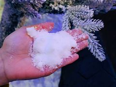 -世界之窗阿尔卑斯冰雪世界