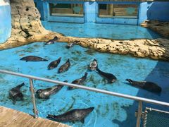 -秦皇岛乐岛海洋王国