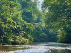 -九曲溪竹筏码头