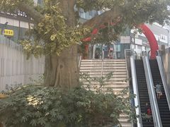 -保利MALL(天鹅湖店)